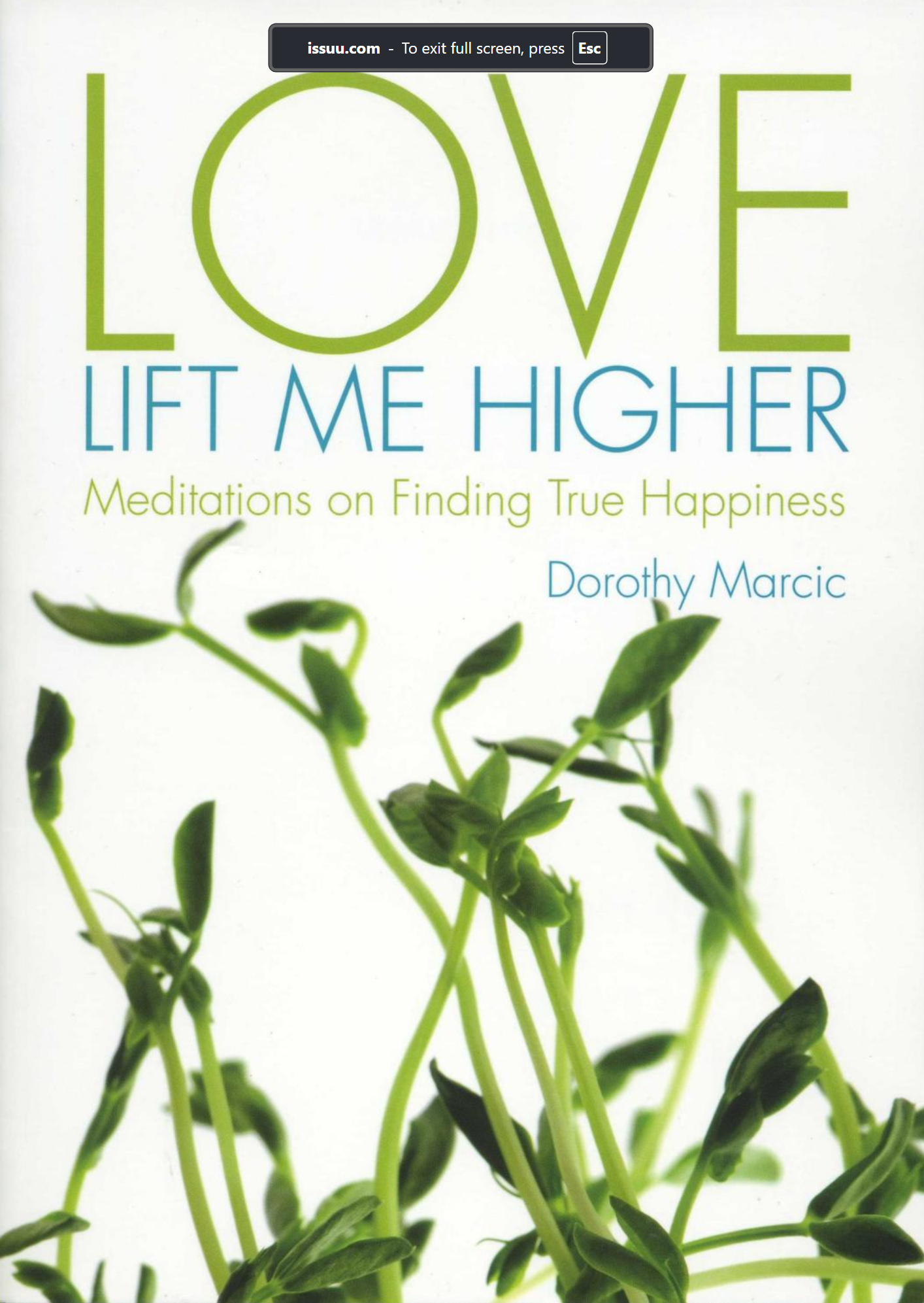 Love Lift Me Higher: Meditations on Finding True Happiness