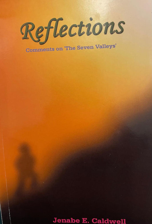 Reflections: Comments on 'The Seven Valleys'