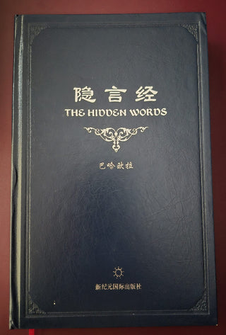 Hidden Words - Chinese