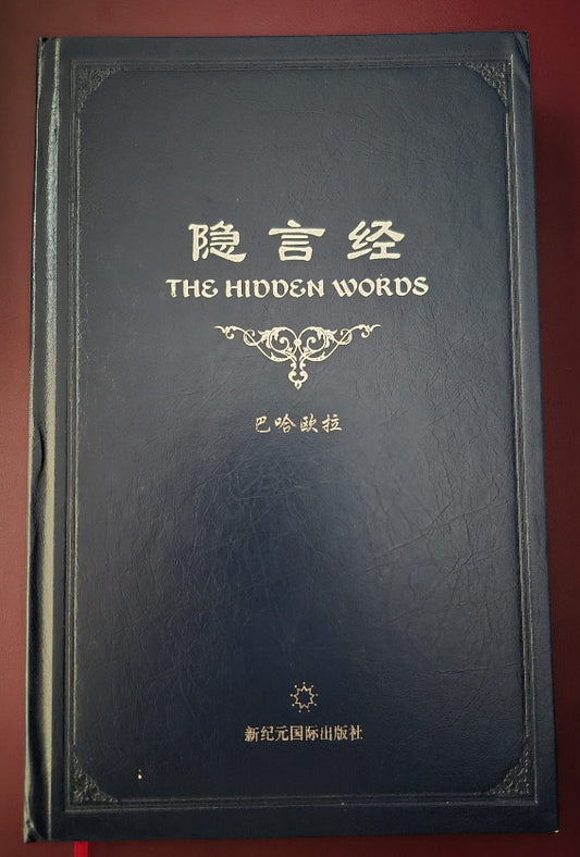 Hidden Words - Chinese