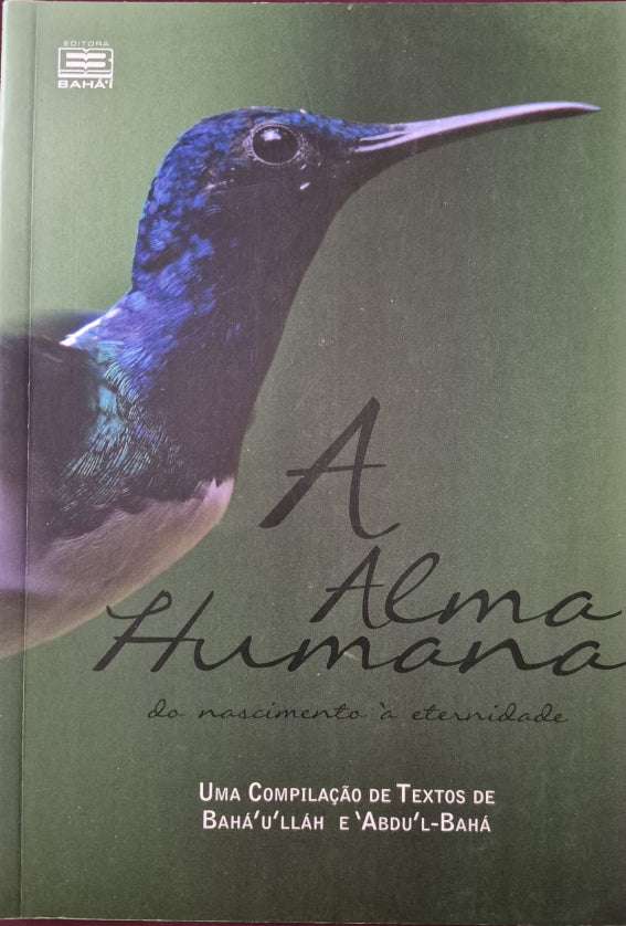 Human Soul: From Birth to Eternity - Portuguese