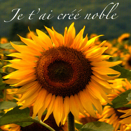 Je t'ai créé noble